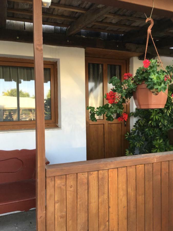 Balatonkenesei Nadfedeles Lovas Vendeghaz Villa Bagian luar foto